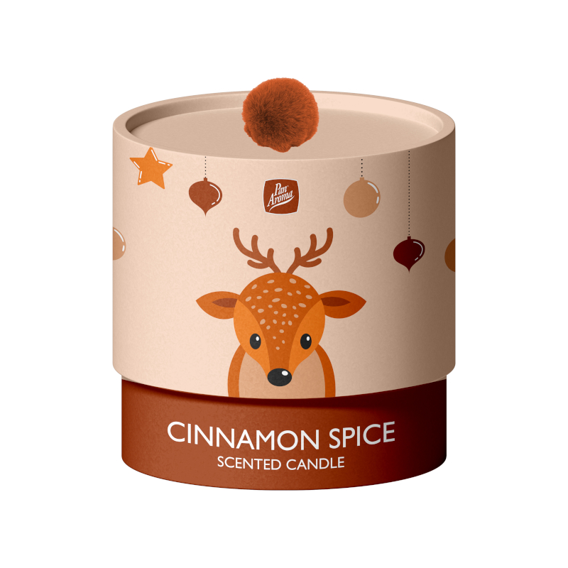 PanAroma vonná svíčka v dárkovém balení Cinnamon Spice 100g