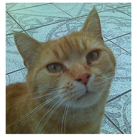 KOLOIDNÍ STŘÍBRO mast 115ml.